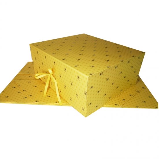 Large Golden Hard Collapsible Storage Boxes